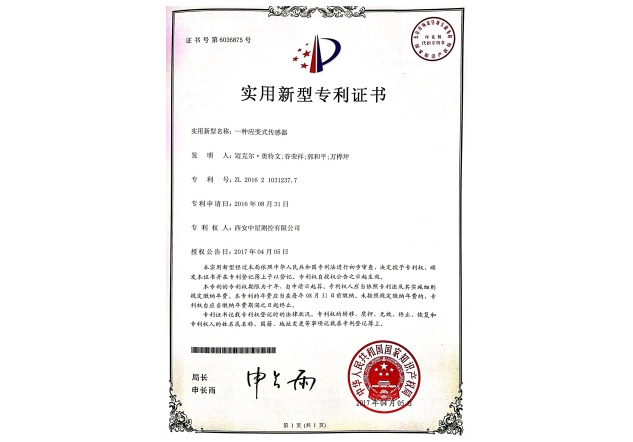 4實用新型專利：一種應(yīng)變式傳感器.jpg